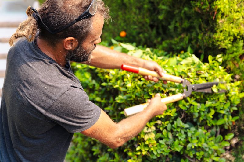 Shrubs with Precise Cuts