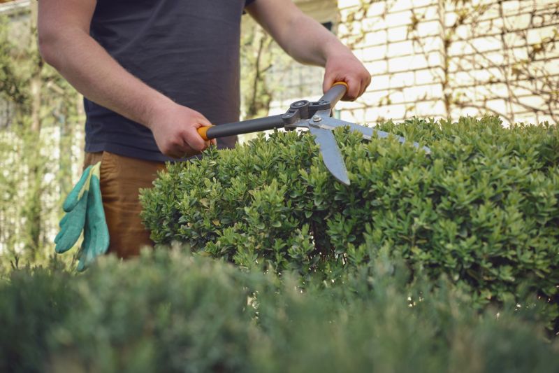 Close-Up of Pruning Tools