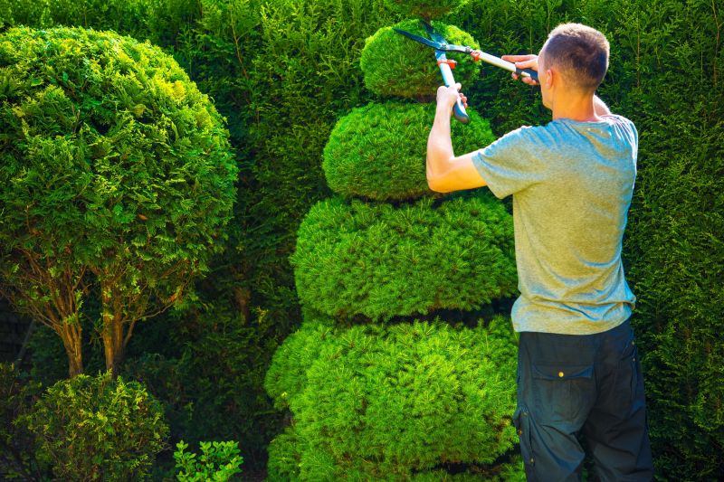 Trimming Near Garden Features