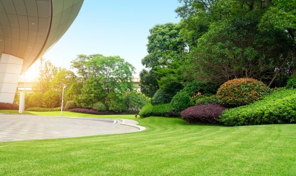 Commercial Shrub Trimming in Bentonville