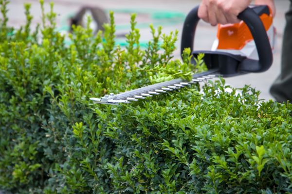 Hedge Pruning in Bentonville