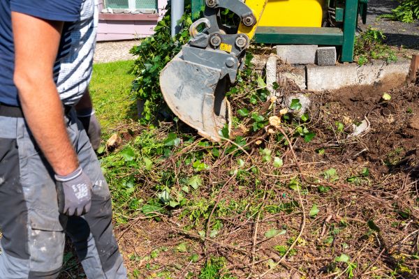 Hedge Removal Service in Bentonville