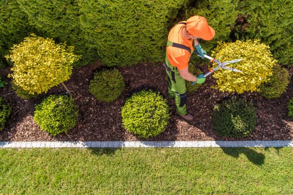 Cost of Topiary Trimming in Bentonville