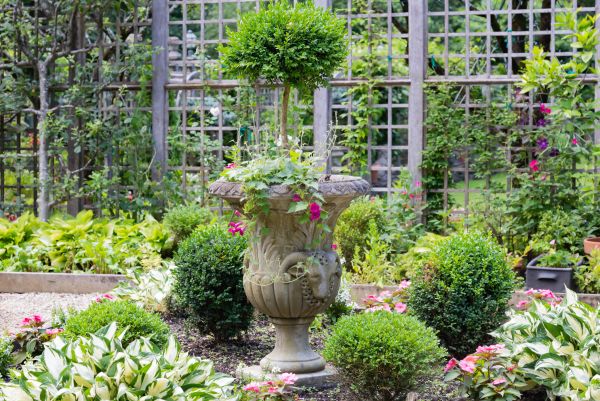 Cost of Topiary Pruning in Bentonville