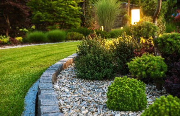 Cost of Bush Relocation in Bentonville