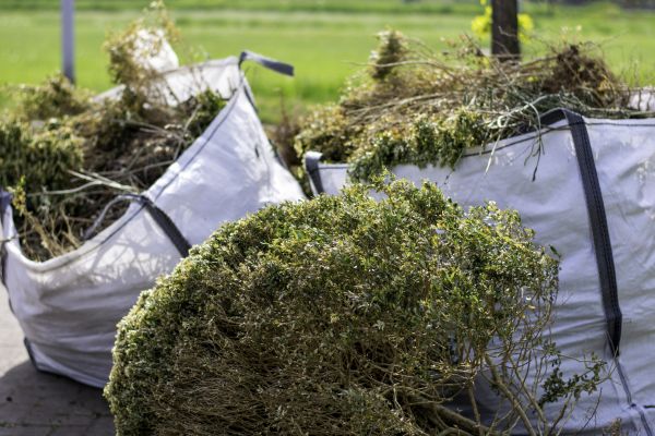 Cost of Shrubs Removal in Bentonville