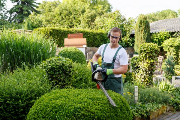 Shrubs Trimming in Bentonville