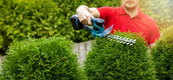Cost of Hedge Shaping Service in Bentonville